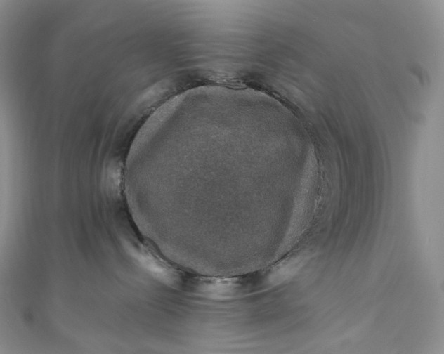 X0000110890288200907021524