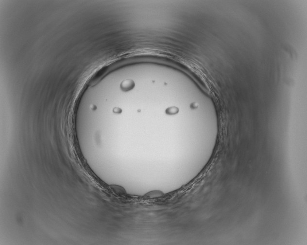 X0000110890289200907021523