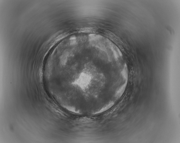 X0000110890290200907021523