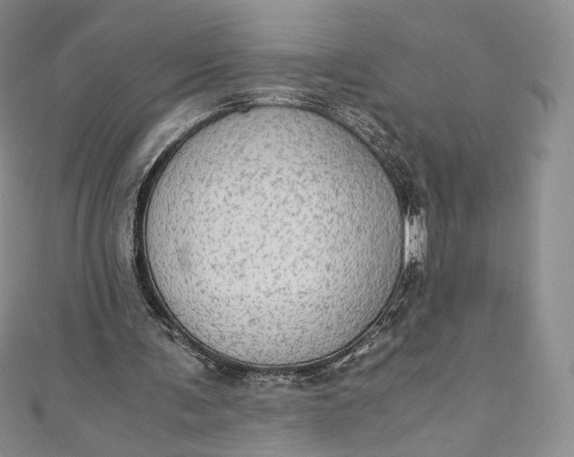 X0000110890291200907021523