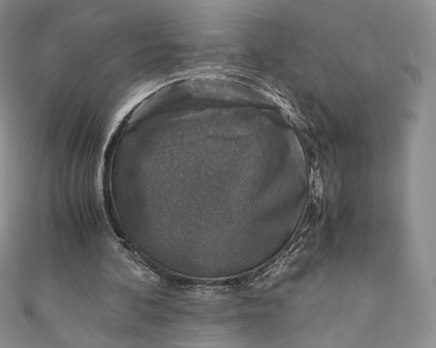 X0000110890292200907021523