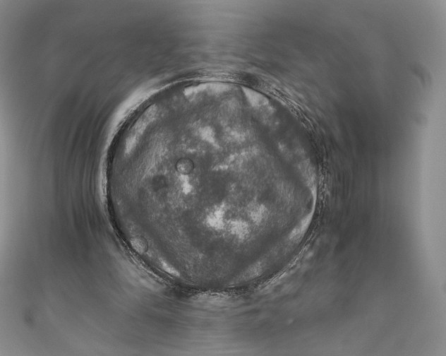 X0000110890294200907021523