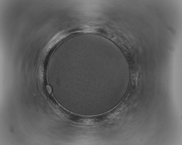 X0000110890295200907021523