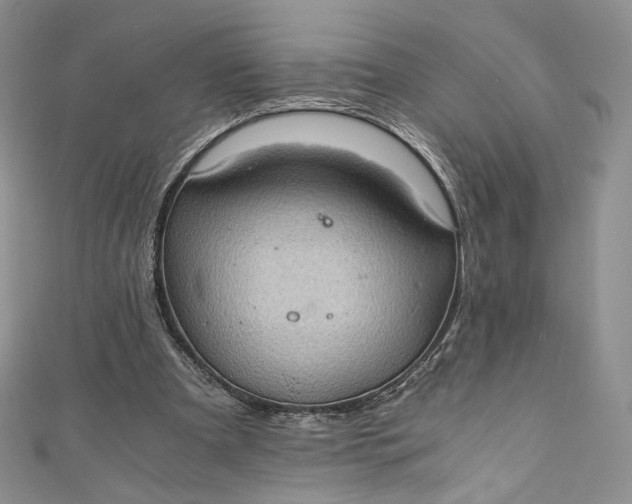 X0000110890297200907021523