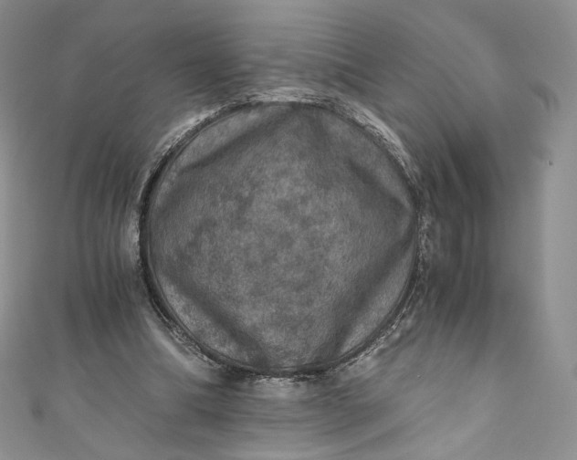 X0000110890298200907021523