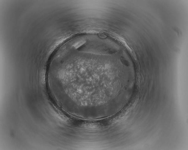 X0000110890299200907021523