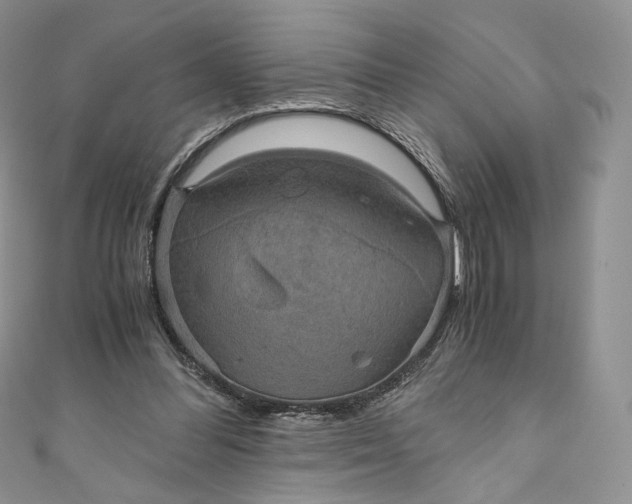 X0000110890300200907021523