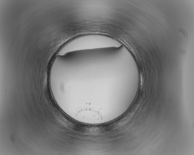 X0000110890301200907021523