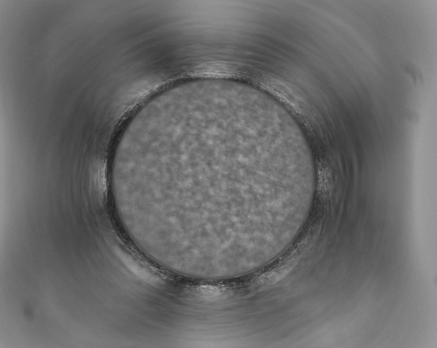 X0000110890302200907021523