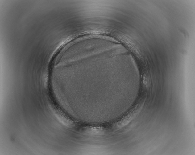 X0000110890304200907021523