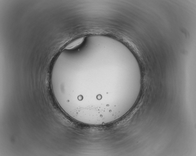 X0000110890305200907021523