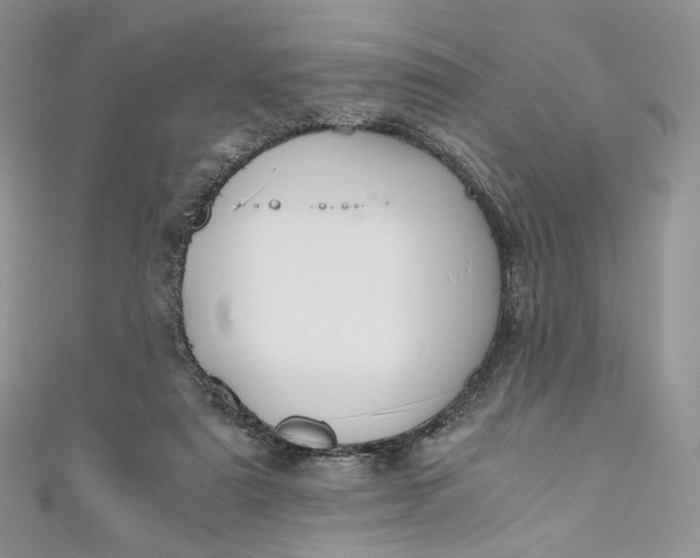 X0000110890307200907021523