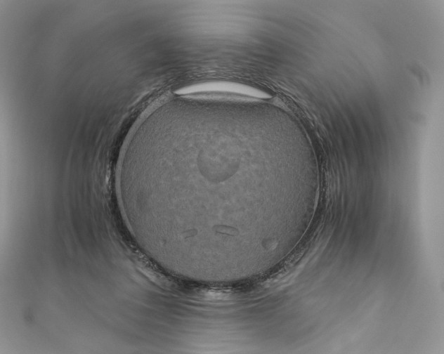 X0000110890308200907021523