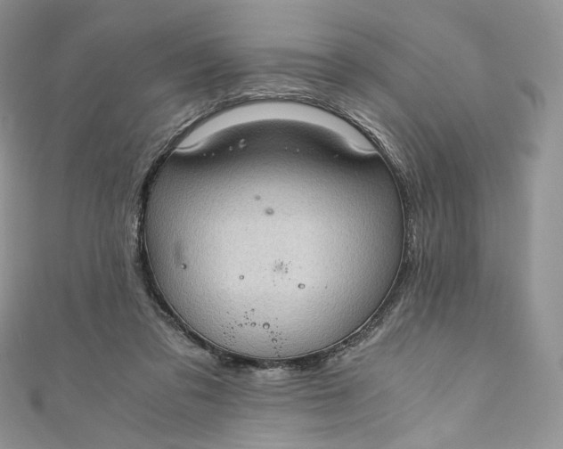 X0000110890309200907021523