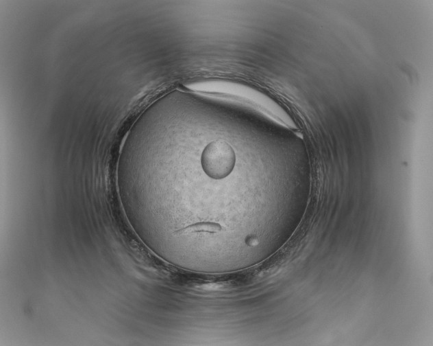 X0000110890312200907021523