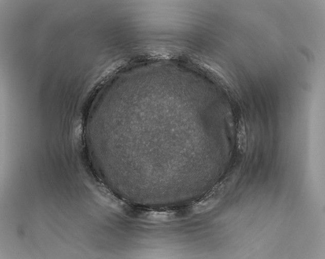 X0000110890314200907021523