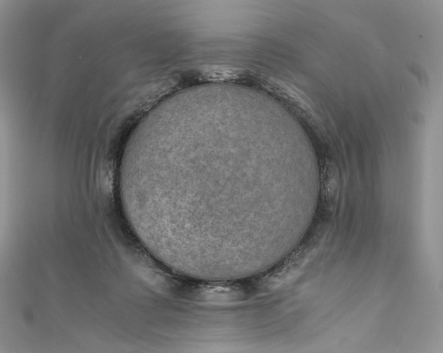 X0000110890315200907021523