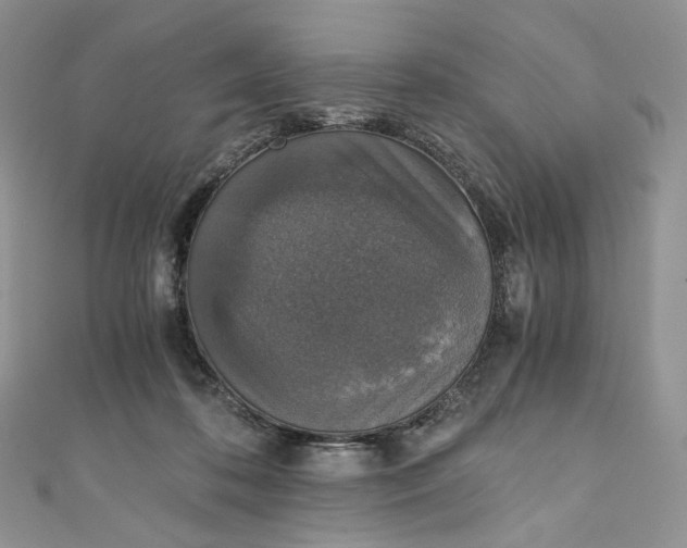 X0000110890316200907021523