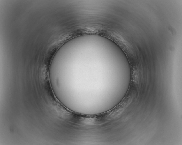 X0000110890318200907021523