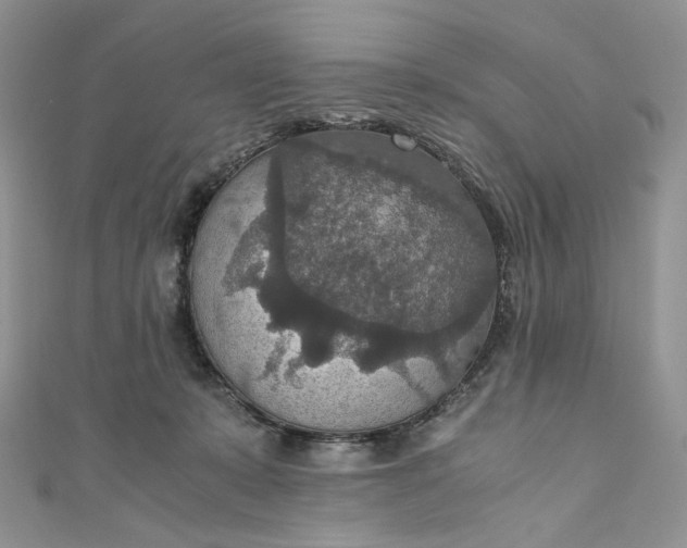 X0000110890319200907021523