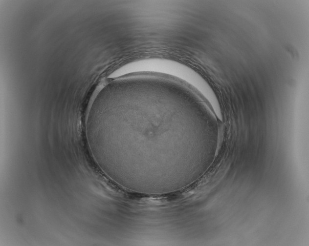 X0000110890320200907021522