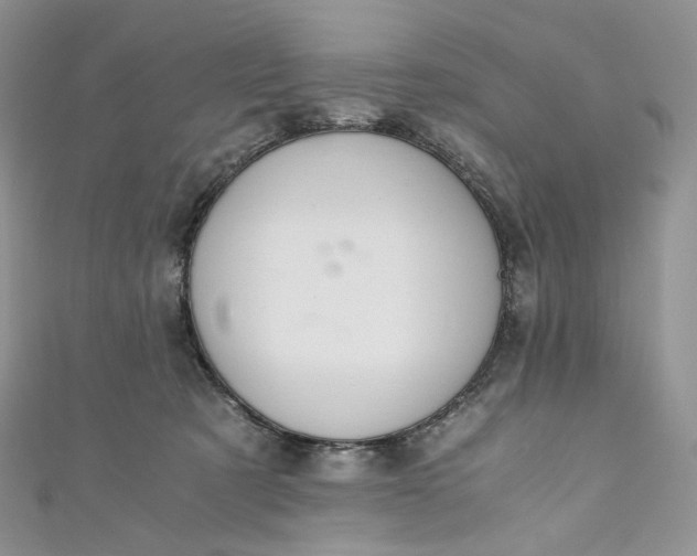 X0000110890321200907021522