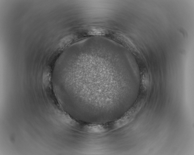 X0000110890322200907021522