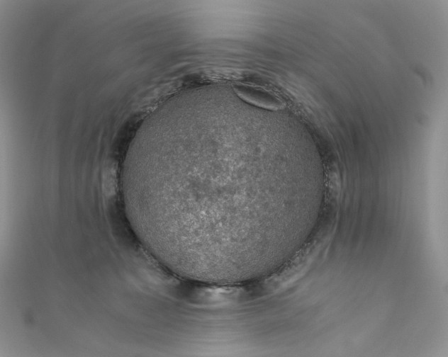 X0000110890323200907021522