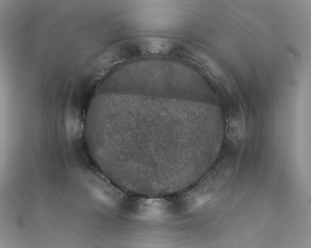 X0000110890324200907021522