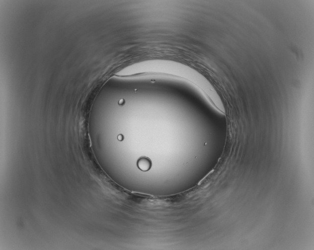 X0000110890327200907021522