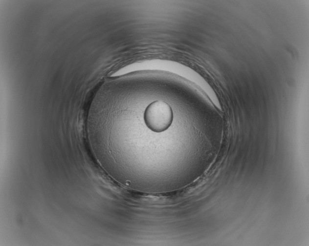 X0000110890328200907021522