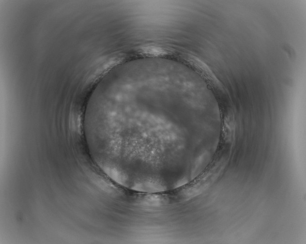 X0000110890330200907021522