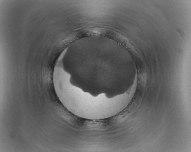 X0000110890331200907021522