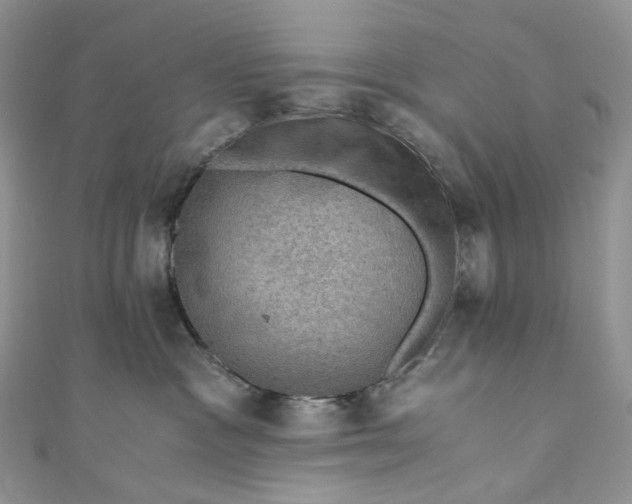 X0000110890333200907021522