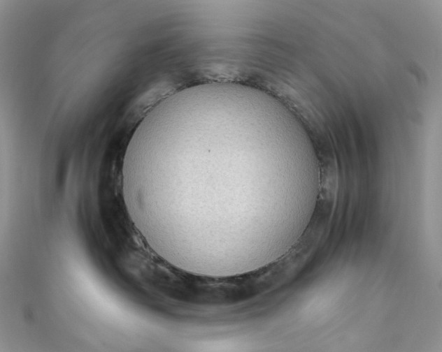 X0000110890334200907021522