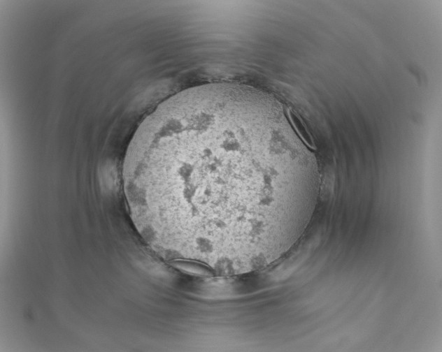 X0000110890335200907021522