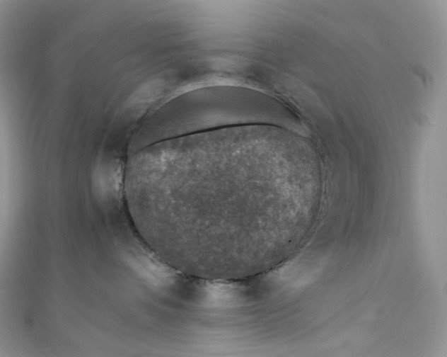 X0000110890336200907021522