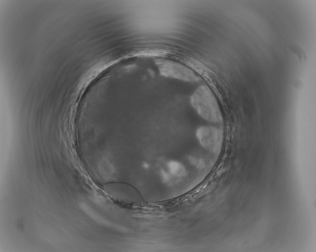 X0000110890337200907021521