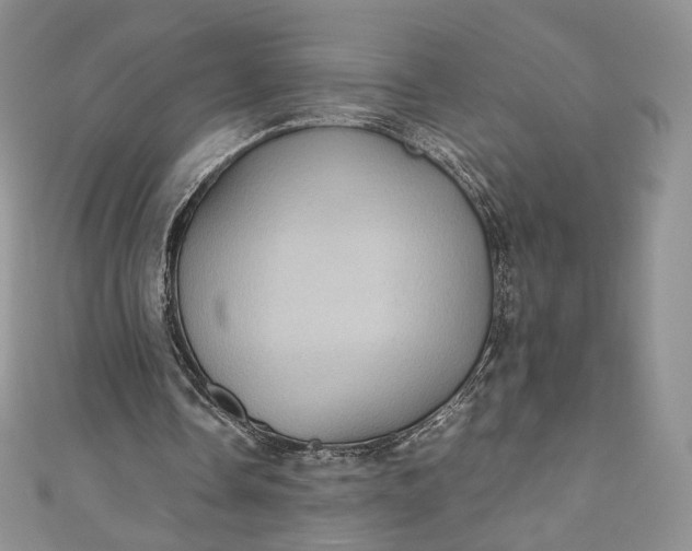 X0000110890338200907021522