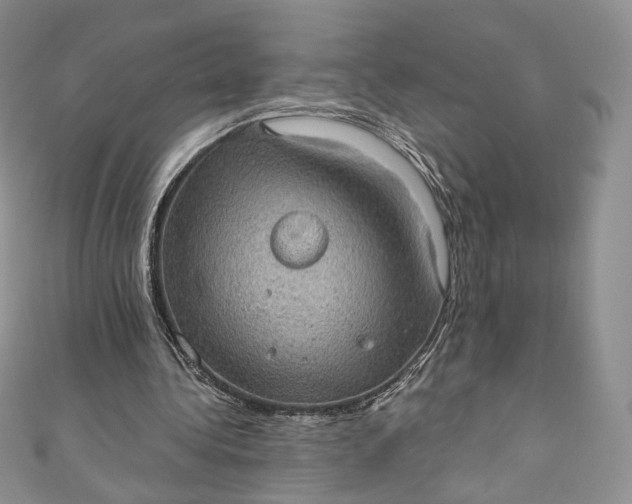 X0000110890340200907021522