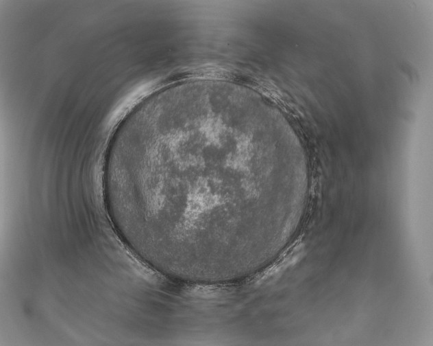 X0000110890341200907021522