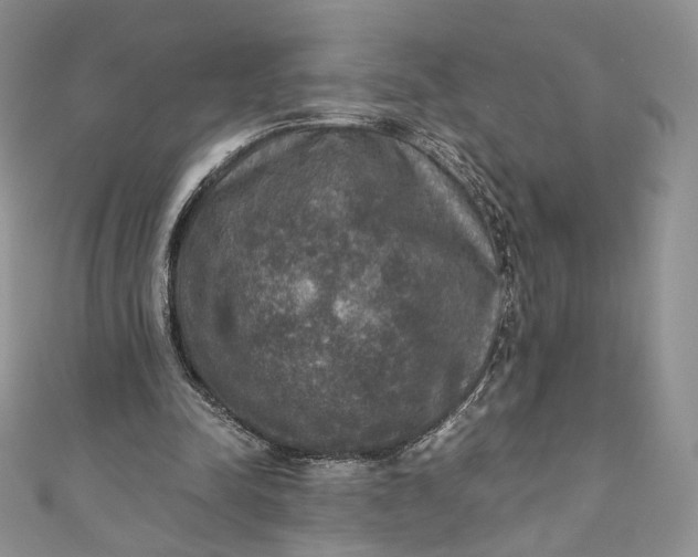 X0000110890342200907021522