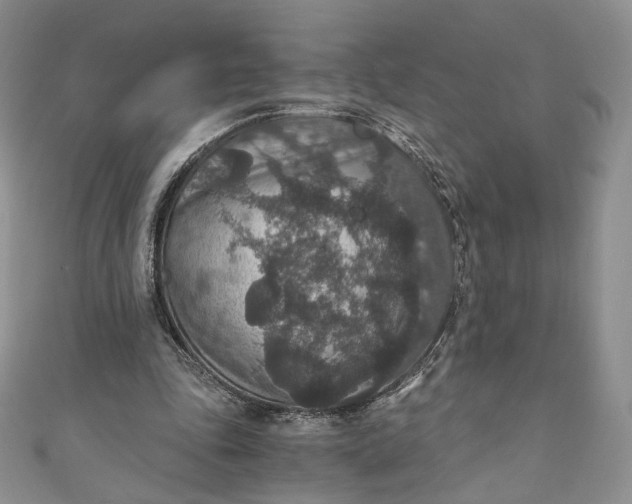 X0000110890343200907021522