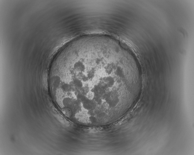 X0000110890345200907021522