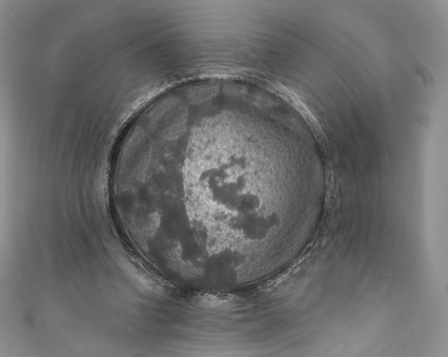 X0000110890346200907021522