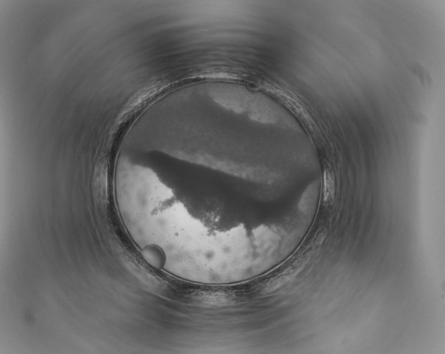 X0000110890349200907021522