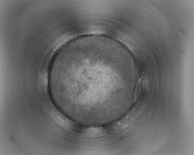 X0000110890350200907021522