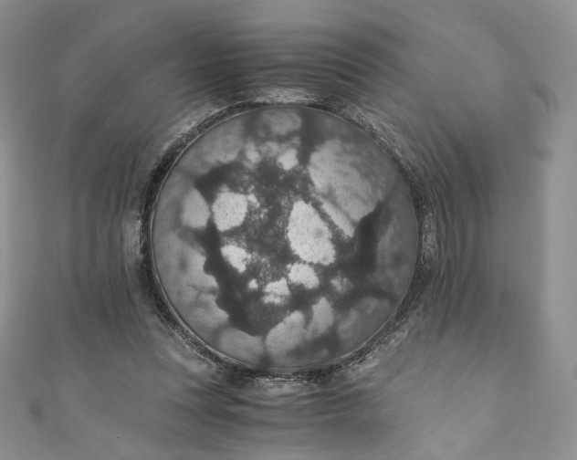 X0000110890351200907021522