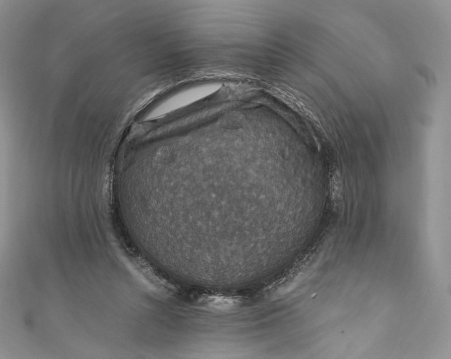 X0000110890352200907021522