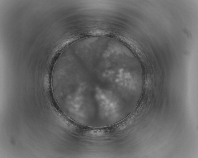 X0000110890353200907021522